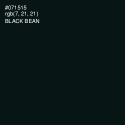 #071515 - Black Bean Color Image